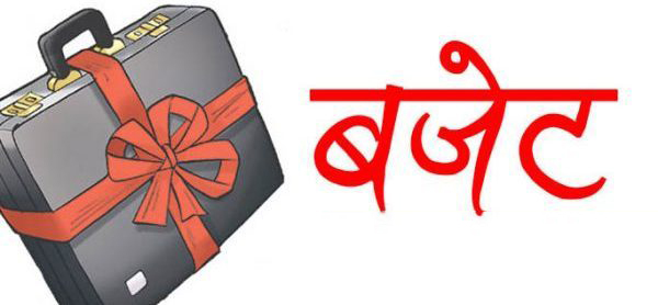 प्रदेश १ का दुई उपमहानगरपालिका : ३ अर्ब ६४ करोडको बजेट,कृषिलाई प्राथमिकता