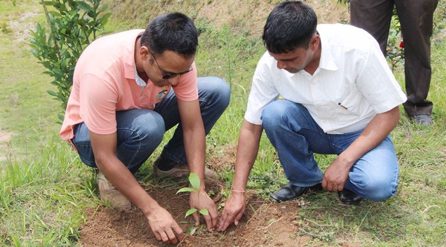 विश्व वातावरण दिवसमा गुल्मीको नगर बाल उद्यानमा वृक्षारोपण