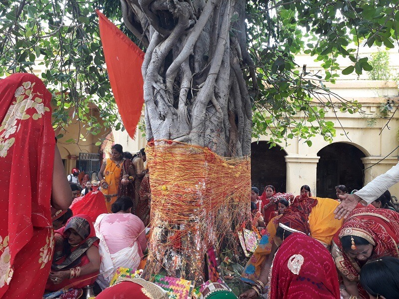 मिथिलाञ्चलमा वरपूजा (फोटाफिचर)