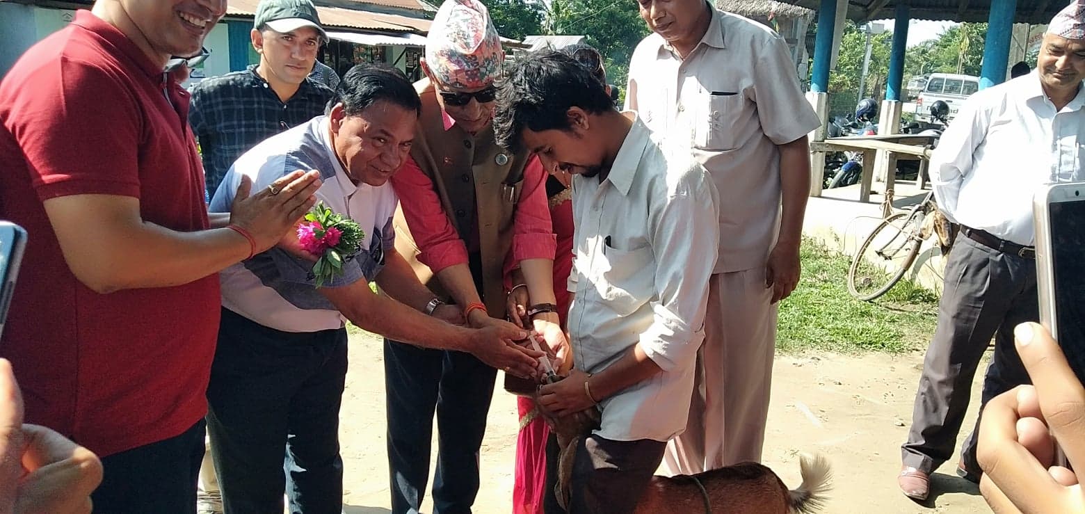 पहिलो पटक पशुस्वास्थ्य शिविर गाँउमा पुग्दा कृषक खुशी