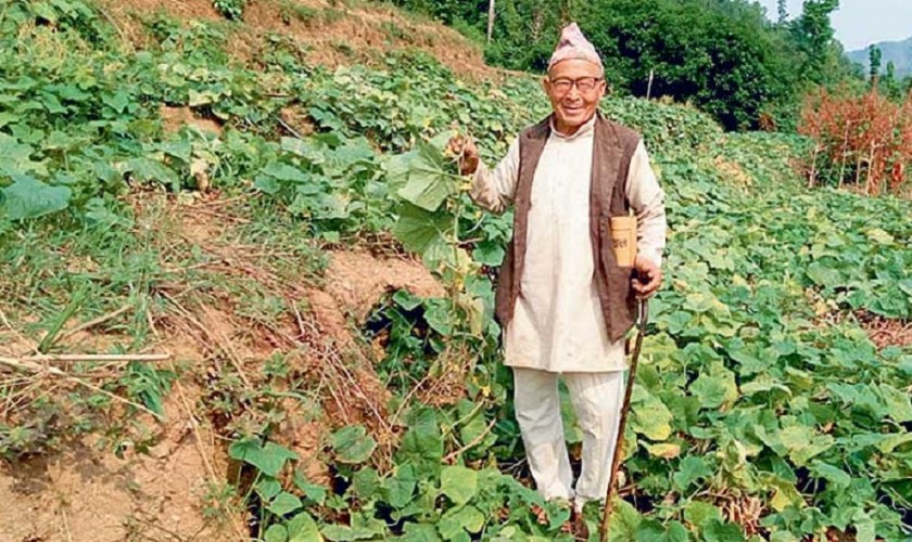 उमेर ७५ वर्ष, तर कृषिबाटै कमाउँछन् वर्षमा १५ लाख