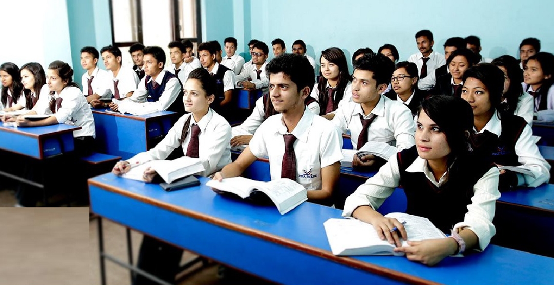 कक्षा १२ को नतिजा सार्वजनिक, यसरी हेर्नुहोस नतिजा….