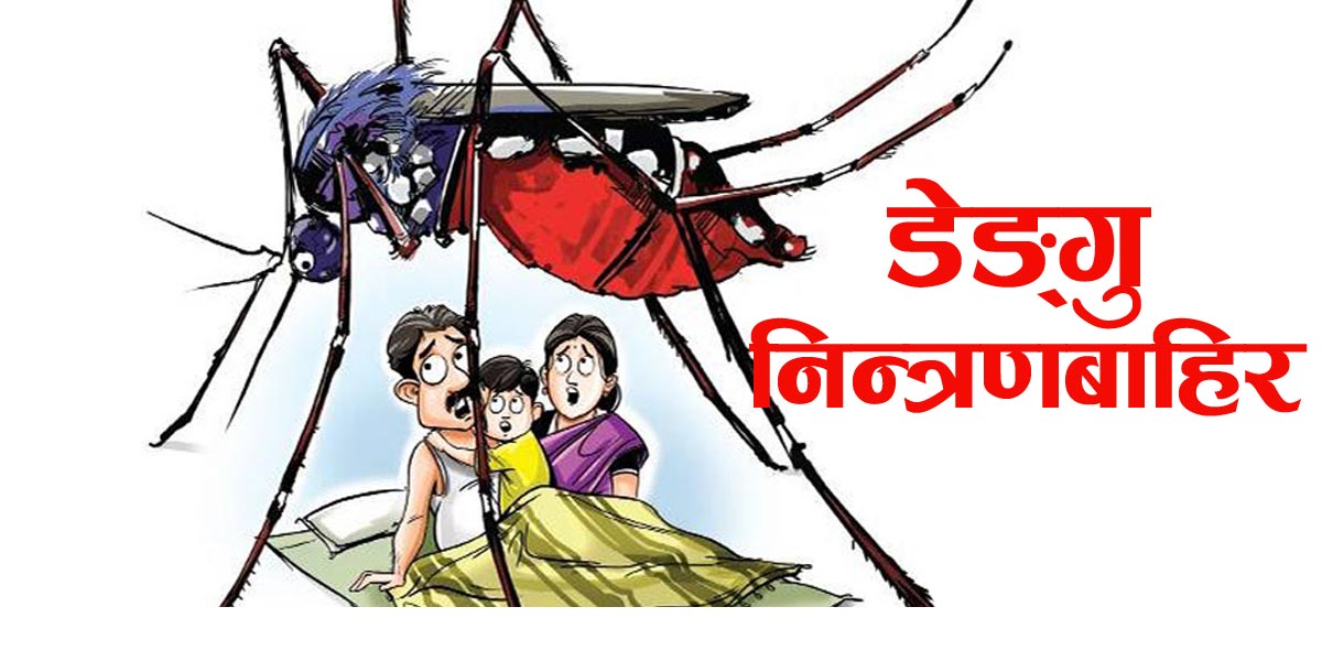 सुनसरीबाट शुरु भएको डेंगु ४२ जिल्लामा फैलियो, १५ सय ३७ जना संक्रमित