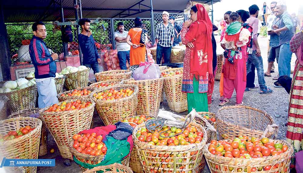 ७ करोडको तरकारी बिक्री केन्द्र कपुरकोट