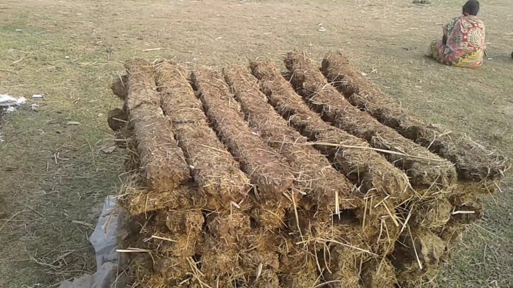 वैकल्पिक ऊर्जाकाे अभियान, तराईबासीकाे भान्छा अब गुईंठामुक्त