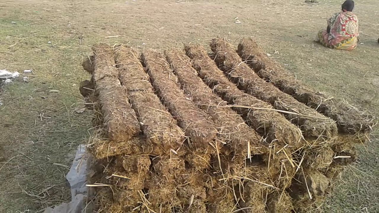 वैकल्पिक ऊर्जाकाे अभियान, तराईबासीकाे भान्छा अब गुईंठामुक्त