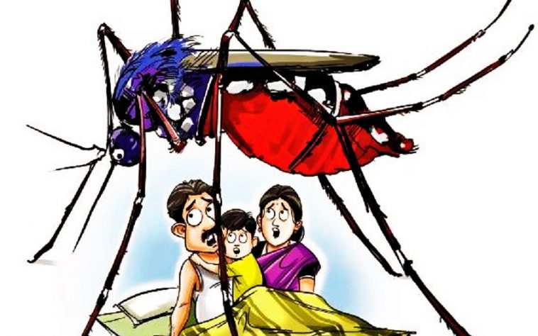 डेंगुको डरलाग्दो तथ्यः ६ जनाको मृत्यु, ५ हजार ९५ जना संक्रमित