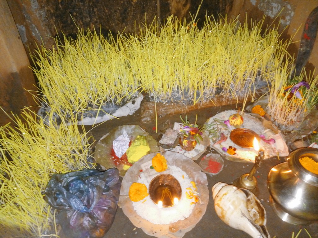 आज बडादशैको सातौ दिन, घरघरमा फूलपाती भित्राइदै