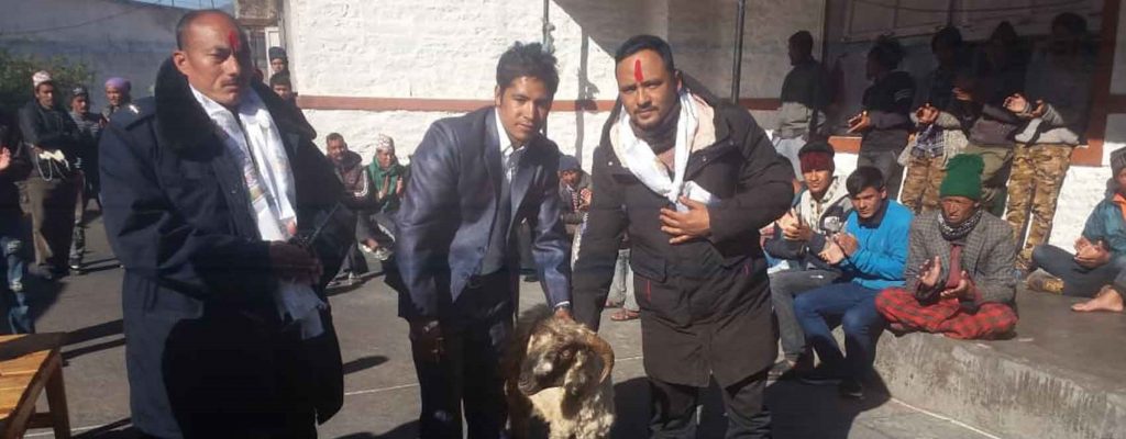 वडाध्यक्षले दिए तिहार मनाउन कैदीबन्दीलाई खसी