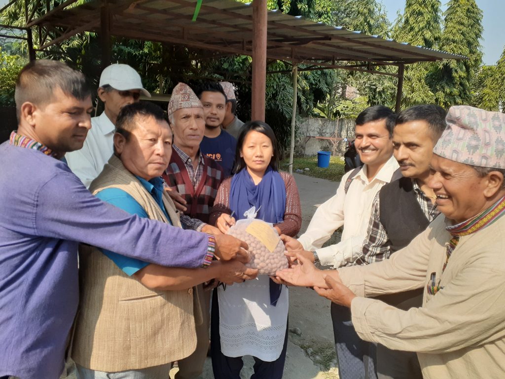 जिल्लाकै समृद्ध बन्दै, मोरङको पथरी शनिश्चरे नगरपालिका